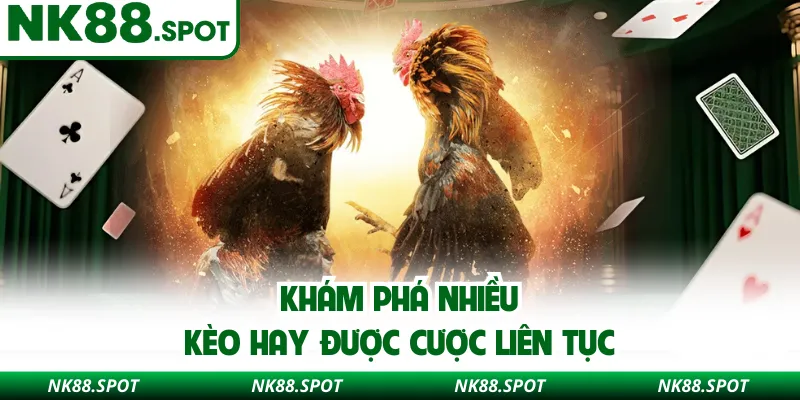 Khám phá nhiều kèo hay được cược liên tục 